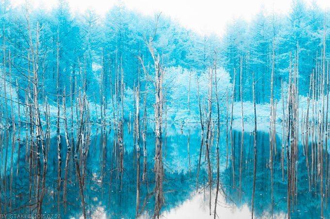 Résumé, enjeux et thèmes –Fontenelle Entretiens sur la pluralité des mondes